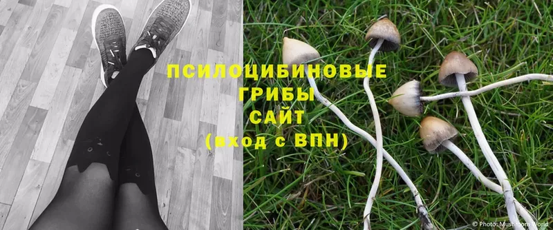 МЕГА ссылка  Баксан  Галлюциногенные грибы Cubensis 